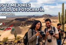 Estudiantes de fotografía sonrientes sosteniendo cámaras DSLR y mirrorless durante un taller al aire libre en el desierto de Sonora, con el cráter El Elegante de El Pinacate y saguaros al fondo