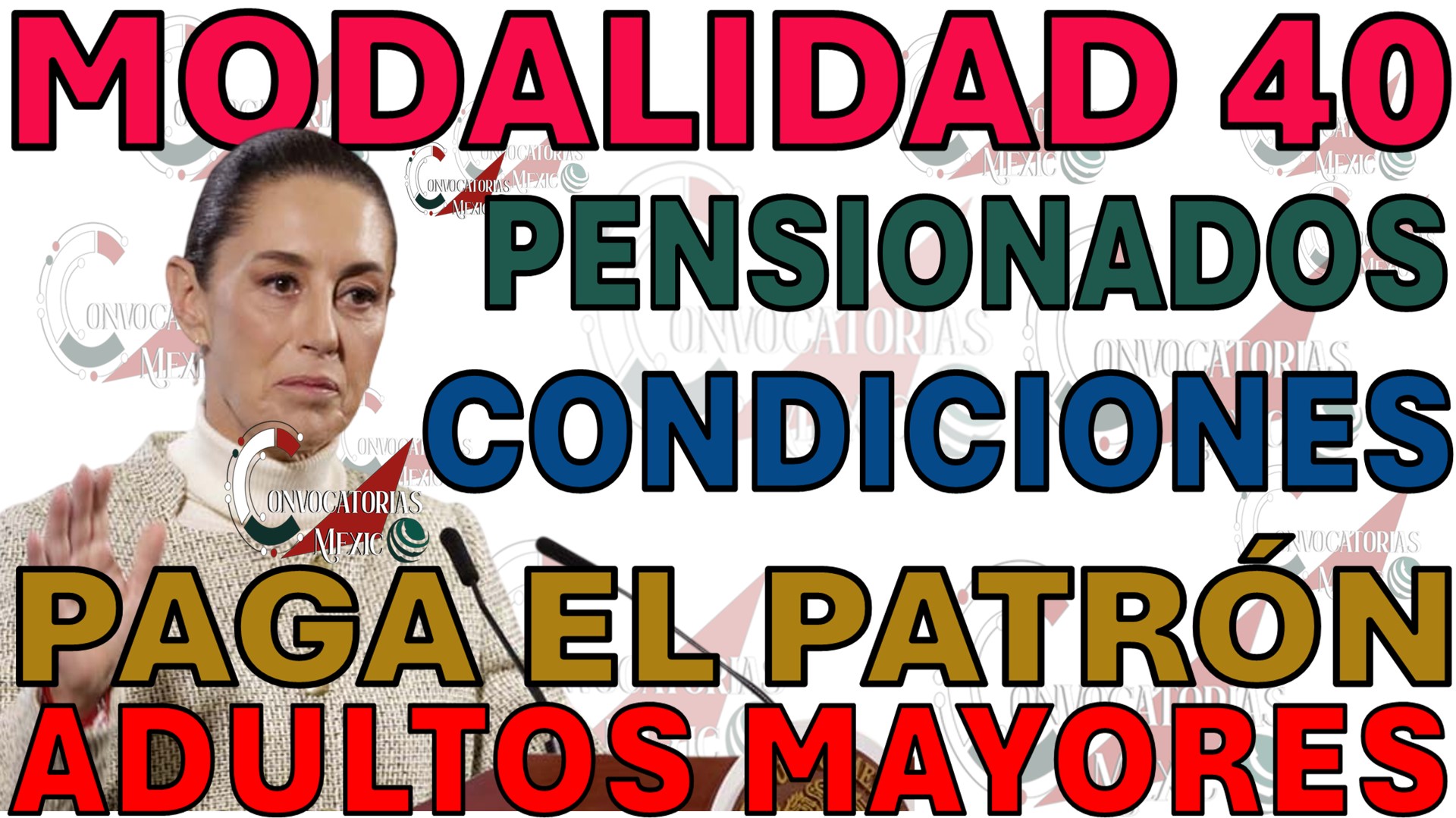 Pensión IMSS y Vivienda 2025: Los Riesgos Ocultos de la Modalidad 40 Patronal y el Nuevo Censo Infonavi