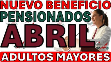 nuevo beneficio pension adultos mayores bienestar