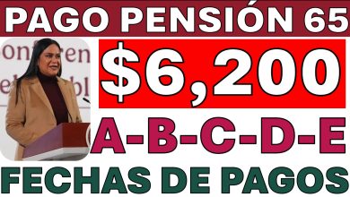 IMSS ajusta pensión por viudez y abre puerta al aguinaldo para Ley 97; SAT aplicará retención del veinte por ciento a retiros anticipados