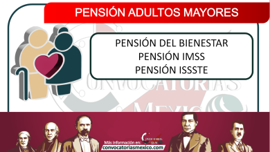pension a adultos mayores 2022