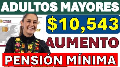 Pensiones IMSS e ISSSTE 2026: Aumentos y Fechas Clave del Bienestar