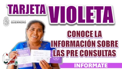 TARJETA VIOLETA| ¿CÓMO FUERON ENTREGADAS LAS FICHAS PARA LAS PRE CONSULTAS?