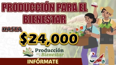 ASÍ PUEDES OBTENER HASTA 24 MIL PESOTES EN TU TARJETA DEL BIENESTAR, INFÓRMATE 