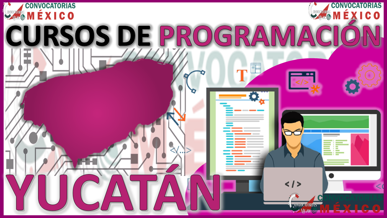 Los 12 Mejores Cursos de Programación en Yucatán