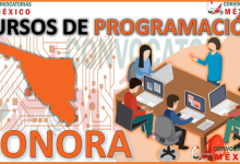Los 12 Mejores Cursos de Programación en Sonora