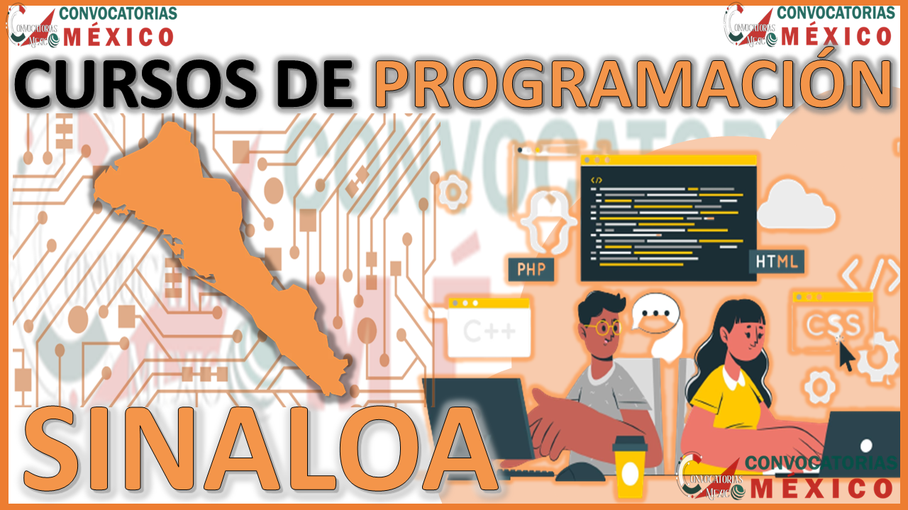 Los 12 Mejores Cursos de Programación en Sinaloa