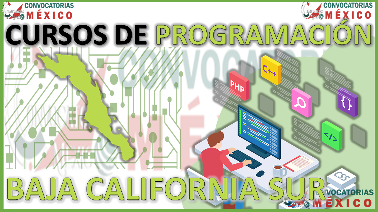 Los 12 Mejores Cursos de Programación en Baja California Sur