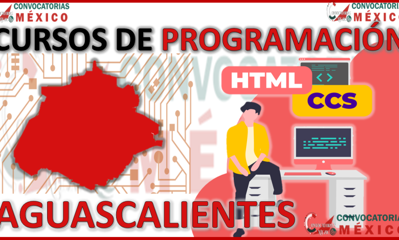 Los 12 Mejores Cursos de Programación en Aguascalientes