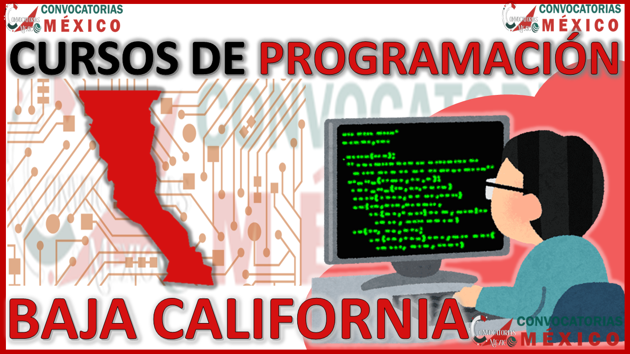 Los 12 Mejores Cursos de Programación en Baja California
