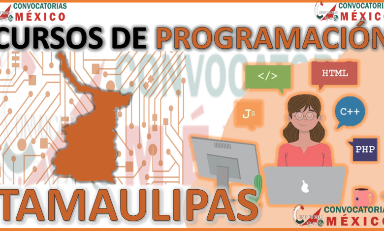 Los 12 Mejores Cursos de Programación en Tamaulipas