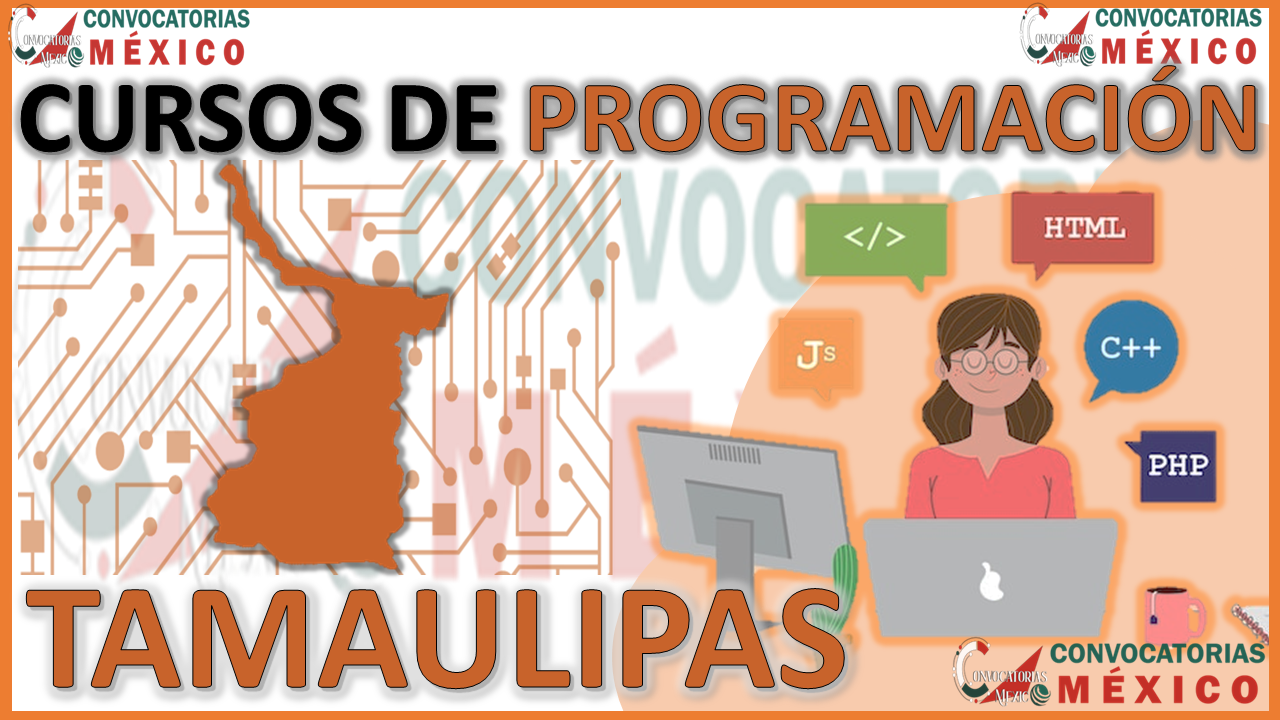 Los 12 Mejores Cursos de Programación en Tamaulipas