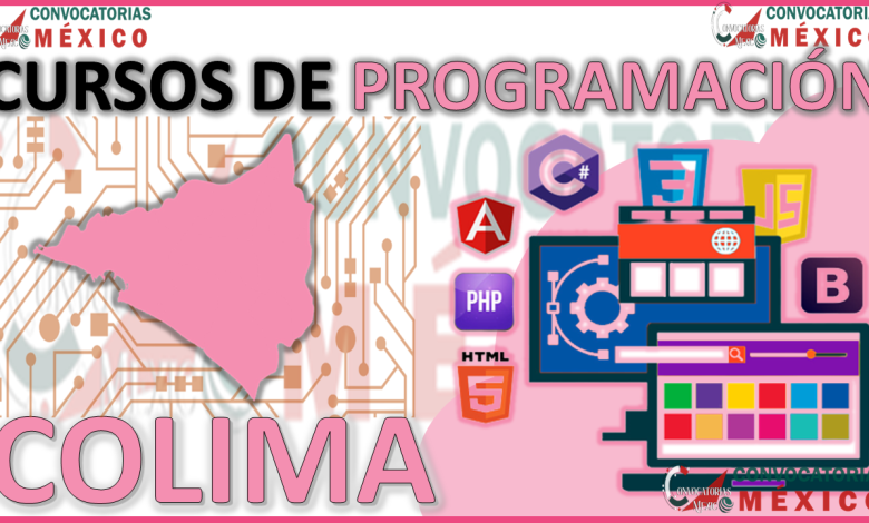 Los 12 Mejores Cursos de Programación en Colima