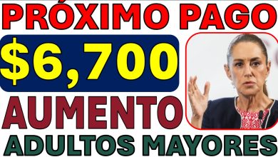 Pensión Bienestar Adultos Myaores 65 y mas: ¿habrá aumento en enero de 2026? Esto es lo confirmado (y lo que falta)
