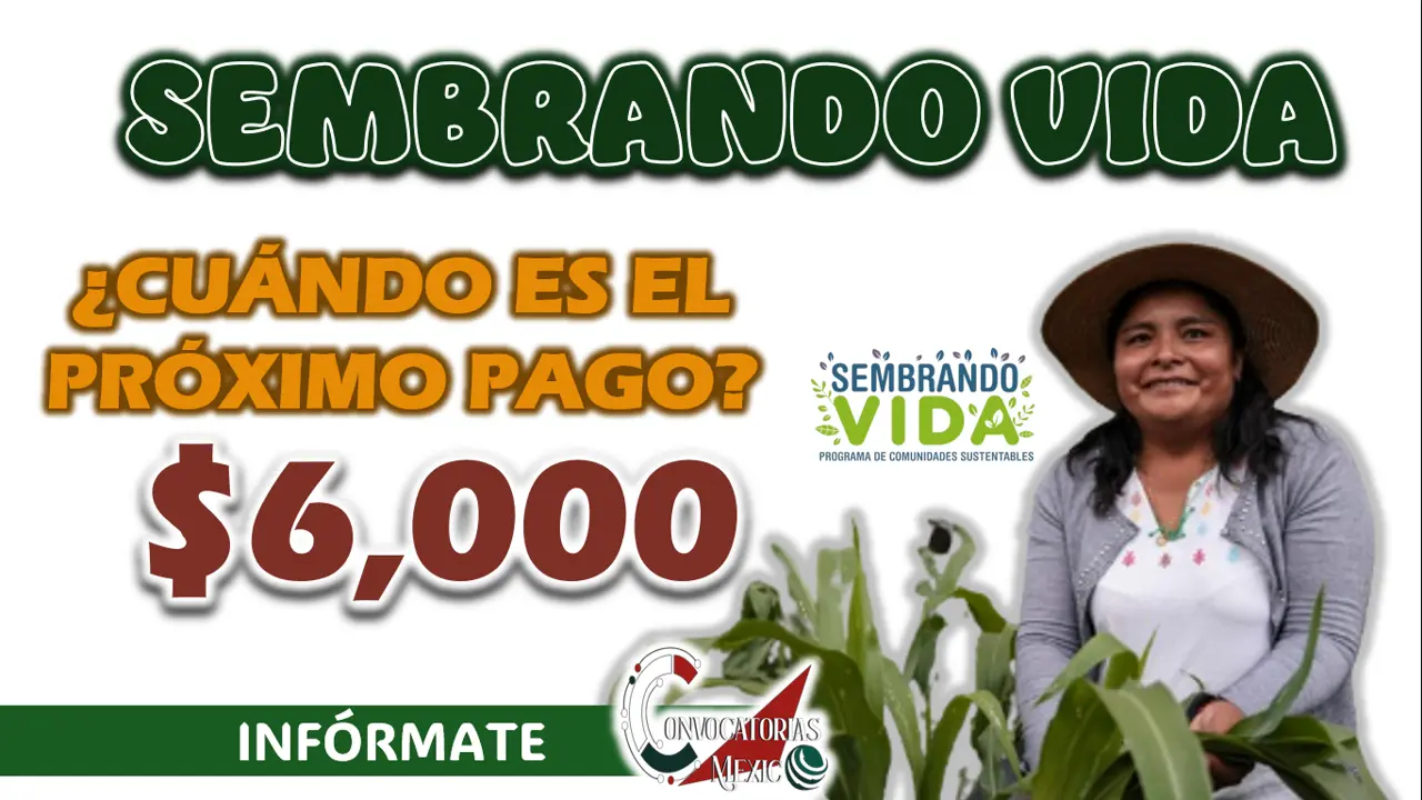 SEMBRANDO VIDA| ¿CUÁNDO SERÁ OTORGADO EL PRÓXIMO PAGO?