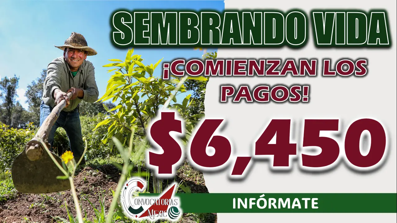 SEMBRANDO VIDA| ¡YA COMENZARON LOS DEPÓSITOS DE 6 MIL 450 PESOS!