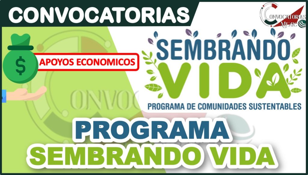 Sembrando Vida 2026: Convocatoria, Requisitos y Monto Oficial del Apoyo 14 Convocatoria Programa Sembrando Vida 2022-2023 Registro