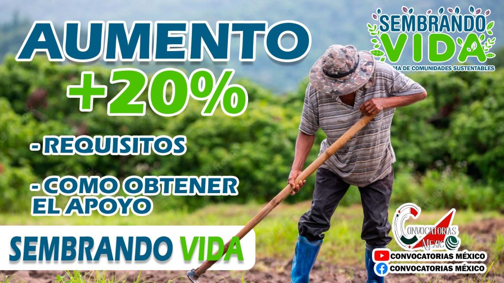 ≫ Monto a recibir en el próximo pago y aumento: Sembrando Vida 2023 ️