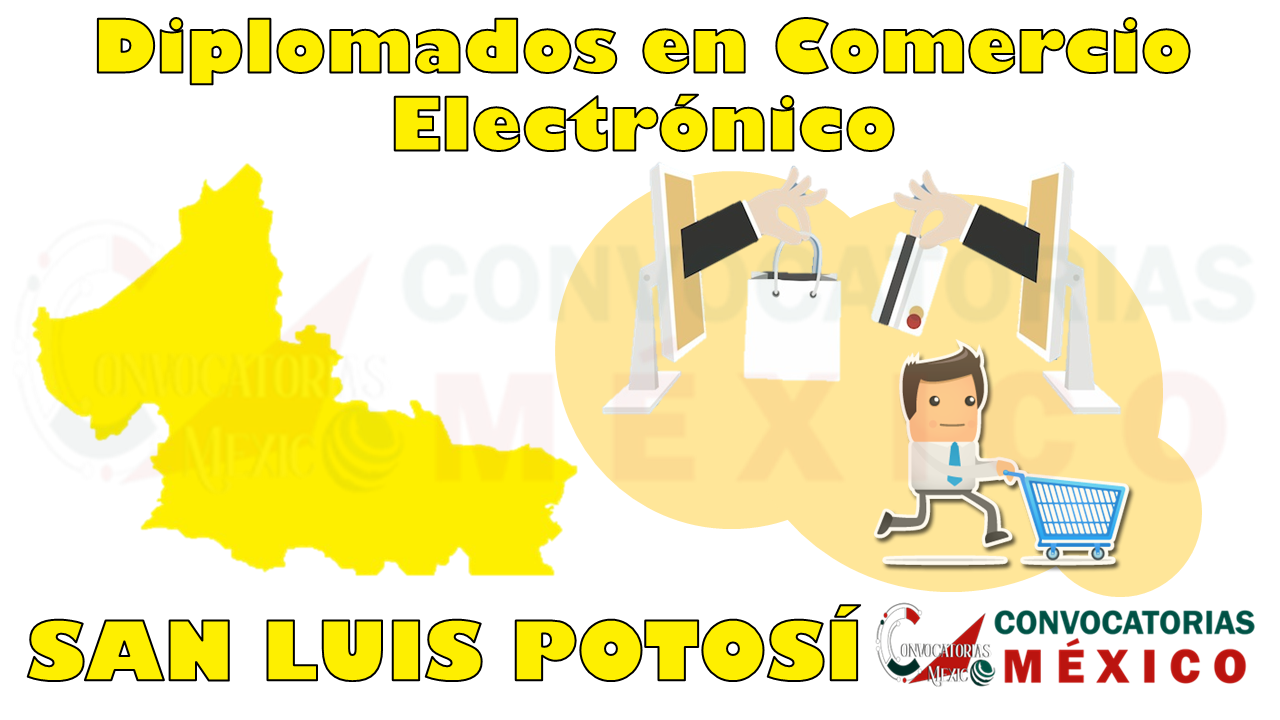 12 Diplomados en Comercio Electrónico en San Luis Potosí