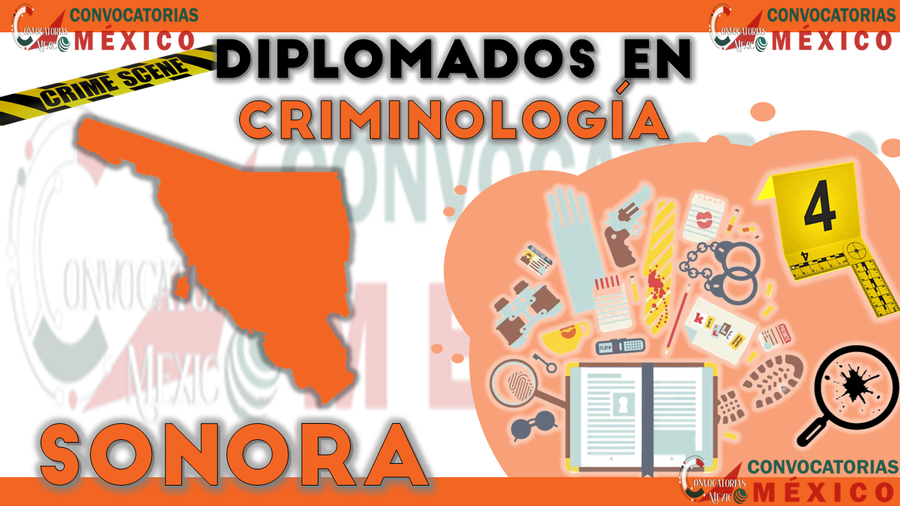 12 Diplomados en Criminología en Sonora