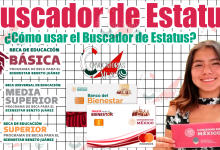 BUSCADOR DE ESTATUS