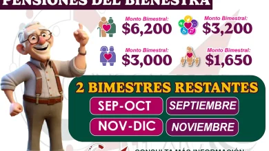 uantos pagos de la Pension Bienestar quedan aun por otorgar Consultalo ya Beneficiario