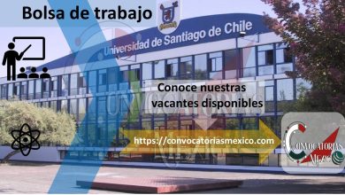 Bolsa de trabajo USACH