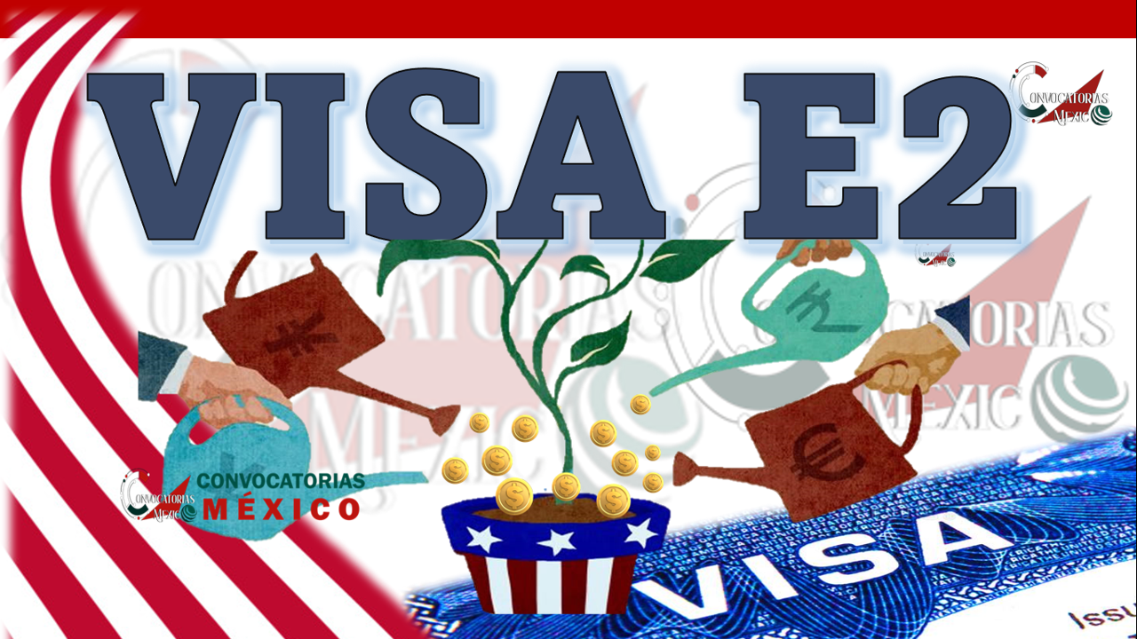 Visa e2