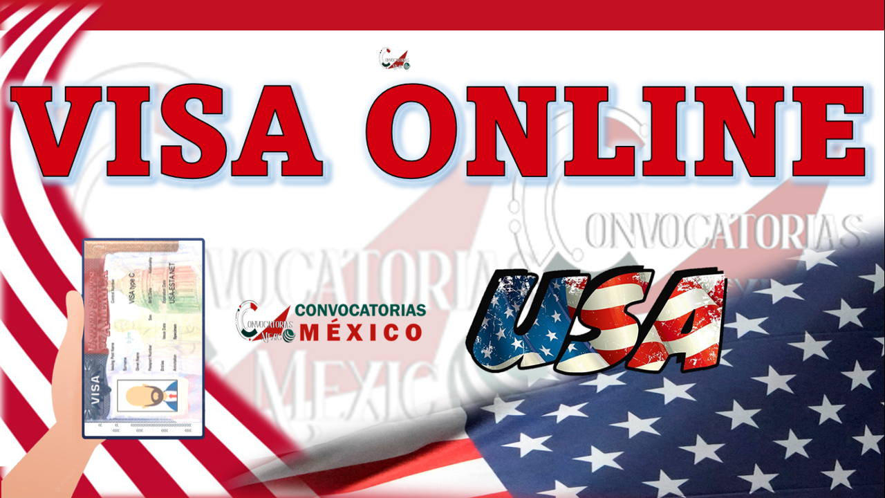 Visa online