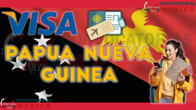 Visa png