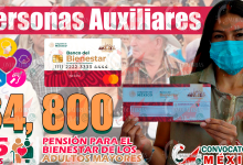 Persona Auxiliar