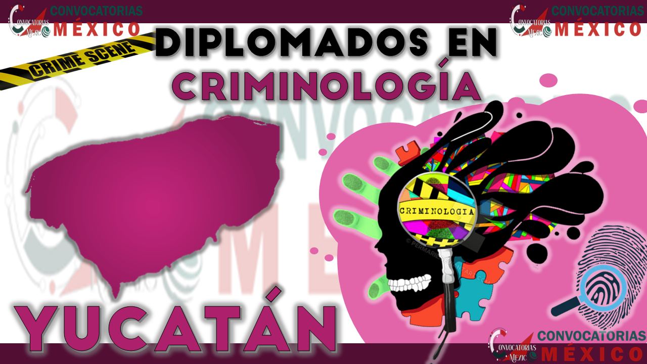 12 Diplomados en Criminología en Yucatán