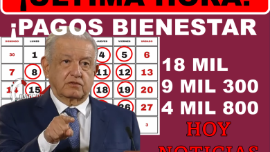¡18 mil + 9 mil 300 + 4 mil 800! ¡Próximo pago de la Pensión y Programas Bienestar 2024! Adultos Mayores, Madres Trabajadoras y Personas con Discapacidad ¡Ariadna Montiel Reyes!