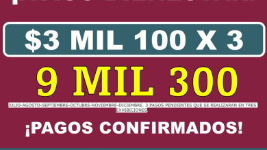 ¡3 mil 100 + 3 mil 100 + 3 mil 100 pesos! ¡3 pagos de Bienestar pendientes para julio, septiembre y noviembre, confirmados por Ariadna Montiel Reyes! Secretaría del Bienestar