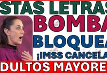 ¡COMUNICADO DE ÚLTIMA HORA! 🚨 IMSS Bloquea Sistema 6 DÍAS