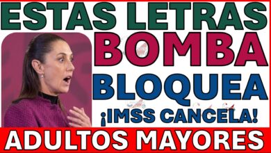 ¡COMUNICADO DE ÚLTIMA HORA! 🚨 IMSS Bloquea Sistema 6 DÍAS