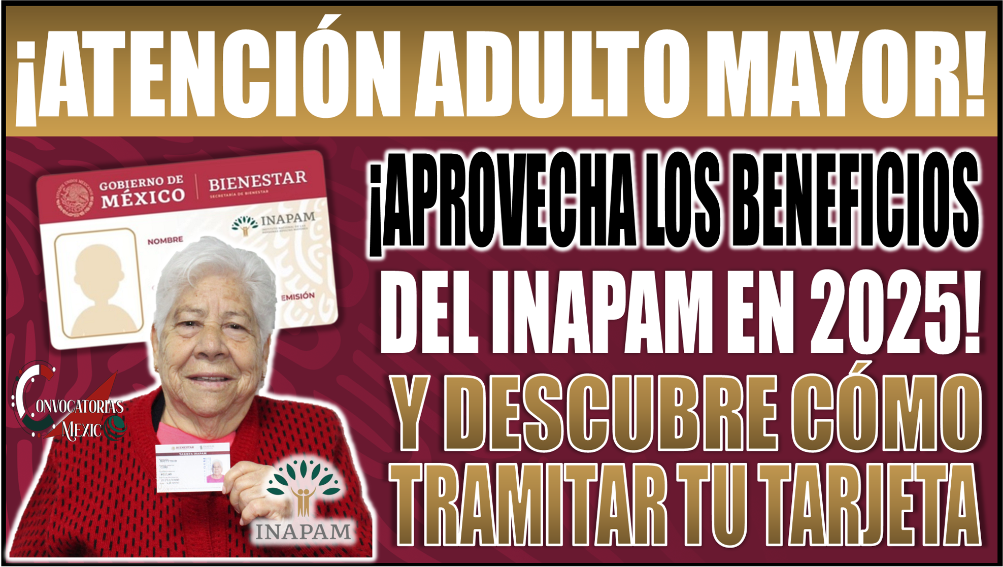 ¡Aprovecha los beneficios del INAPAM en 2025! Descubre cómo tramitar tu tarjeta fácil y rápido
