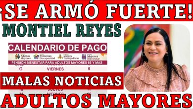 Críticas a la Secretaría de Bienestar y a Ariadna Montiel Reyes por diputados de Morena