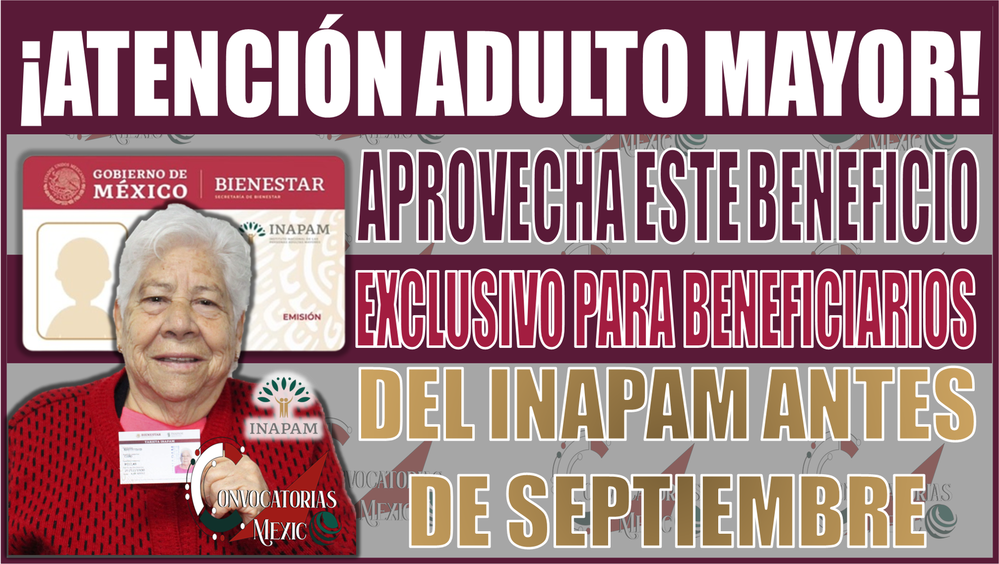 ¡Atención Adultos Mayores! Aprovecha este beneficio exclusivo para beneficiarios del INAPAM antes de septiembre