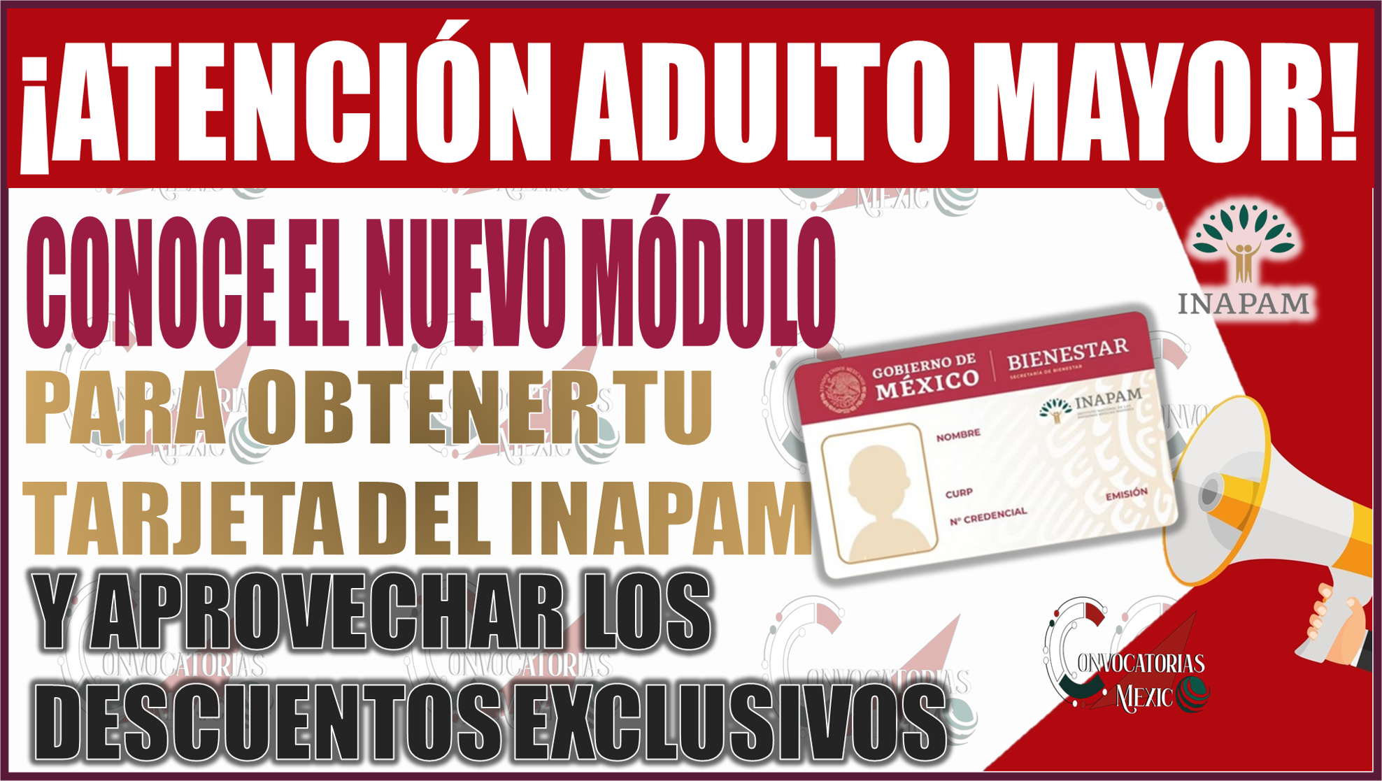 ¡Atención beneficiarios! Conoce el nuevo módulo para obtener tu tarjeta INAPAM y aprovechar descuentos exclusivos