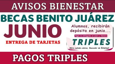 ¡Atentos Alumnos de las Becas Benito Juárez! ¡Hay Entrega de Tarjetas del Banco del Bienestar en Junio! Consulta las fechas ahora