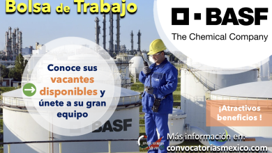 ¡Atractivos beneficios! Conoce la bolsa de trabajo de “BASF” y descubre sus oportunidades profesionales internacionales