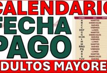 CAE EL DEPÓSITO DE LA LETRA A A LA Z! REVISA TU TARJETA