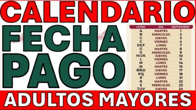 CAE EL DEPÓSITO DE LA LETRA A A LA Z! REVISA TU TARJETA