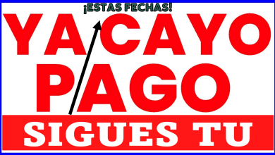 ¡Calendario de pagos Bienestar de la SEMANA 1 al 9 de julio! Pagos para B-C-D-E y F Adultos Mayores ¡Ariadna Montiel adelanta transferencia por el Banco del Bienestar