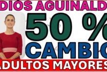 Alerta a Pensionados: Confirman Recorte del 50% al Aguinaldo y Aclaran Falso Trámite Obligatorio 13 🚨 ¡RECORTAN AGUINALDO! A quiénes les quitan la mitad en 2026 📉