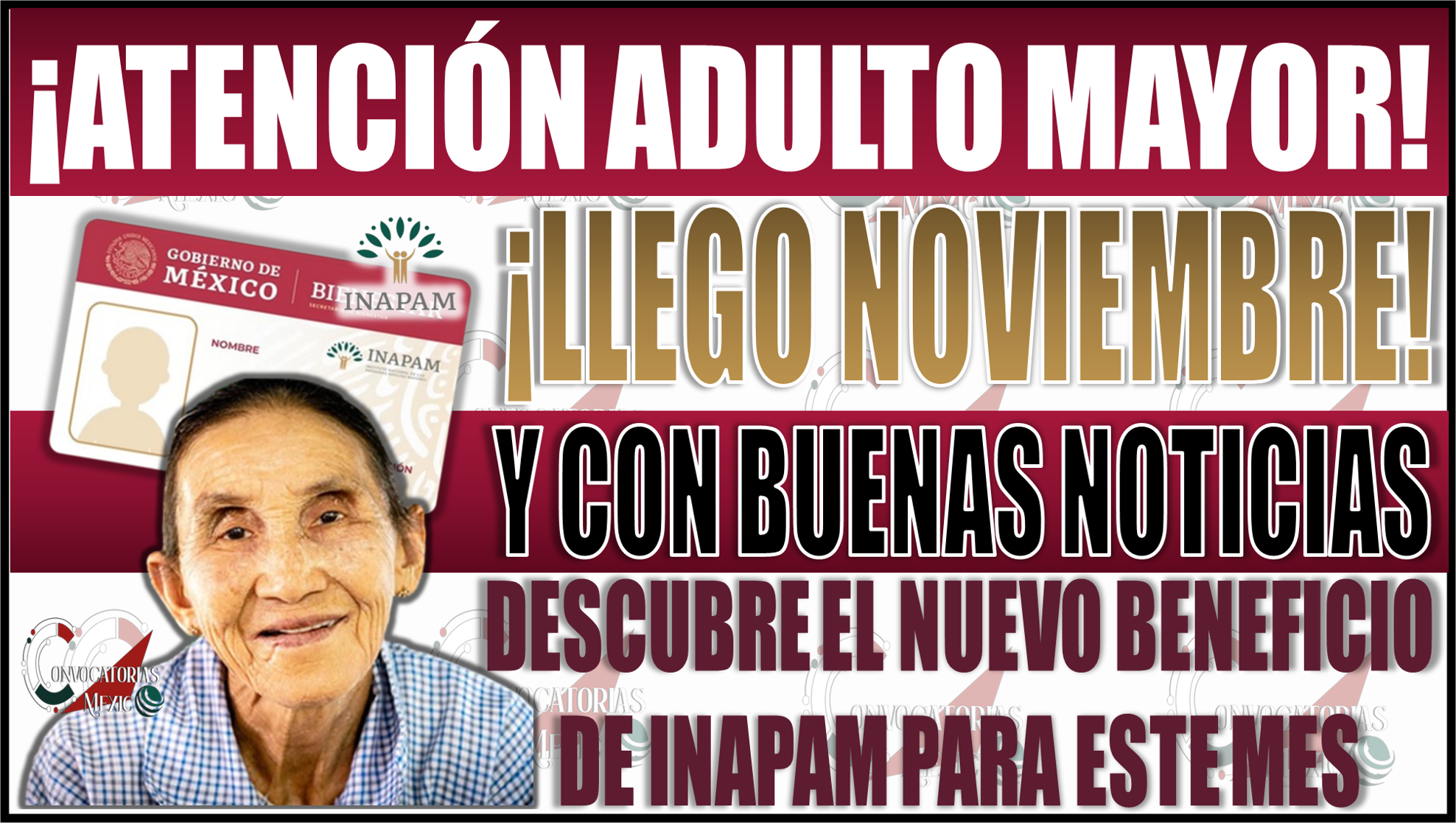 ¡Comienza noviembre con buenas noticias! Descubre el nuevo beneficio de la tarjeta INAPAM para Adultos Mayores