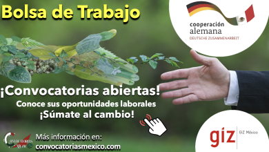 ¡Convocatorias abiertas! Consulta ahora las ofertas laborales que la “Cooperación Alemana al Desarrollo Sustentable en México” tiene para ti y súmate al cambio