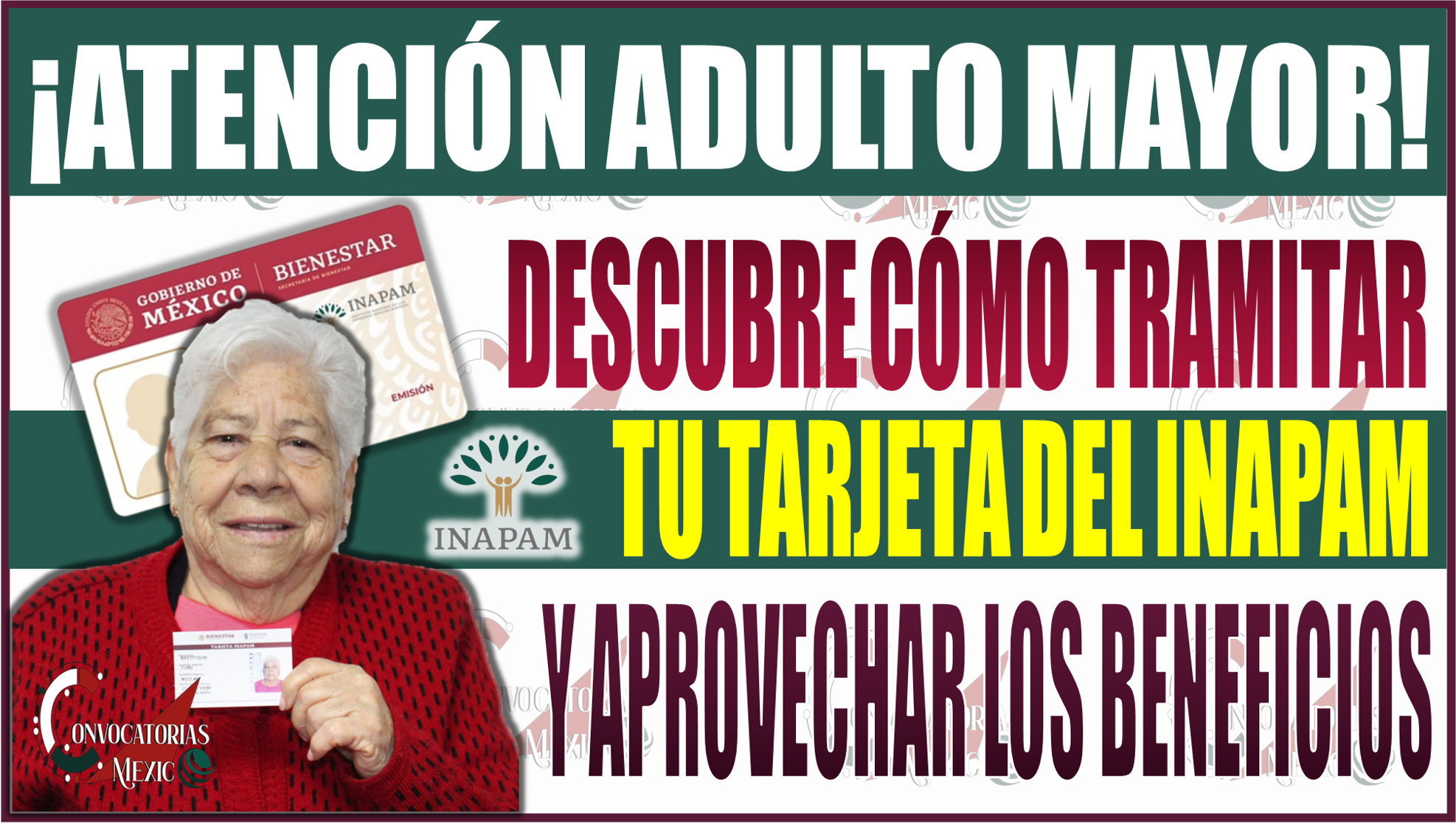 ¡Descubre cómo tramitar tu tarjeta INAPAM y aprovecha todos los beneficios!