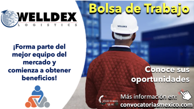 ¡Descubre nuevas oportunidades! Conoce la bolsa de trabajo de “WELLDEX LOGISTICS” y obtén los mejores beneficios
